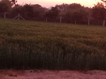 Property for sale in Sumerpur Pali