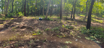 11 Acre Agricultural/Farm Land for Sale in Wada, Thane