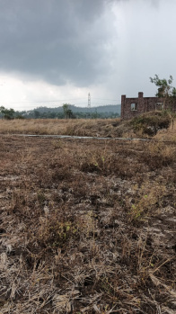 Agricultural/Farm Land for Sale in Wada, Thane (20 Acre)