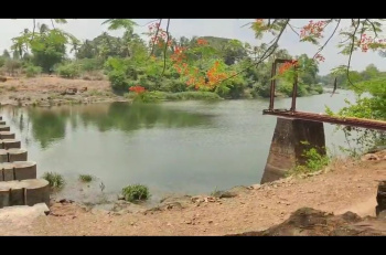 Agricultural/Farm Land for Sale in Manor, Palghar (7.5 Acre)