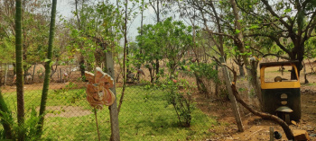 Property for sale in Manor, Palghar