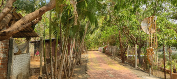 Property for sale in Manor, Palghar