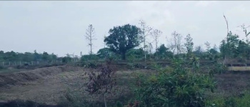 Agricultural/Farm Land for Sale in Wada, Thane (8 Acre)