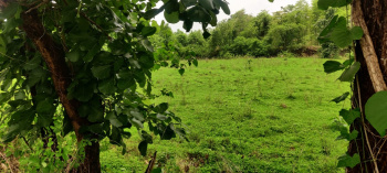 Industrial Land / Plot for Sale in Wada, Thane (27 Acre)