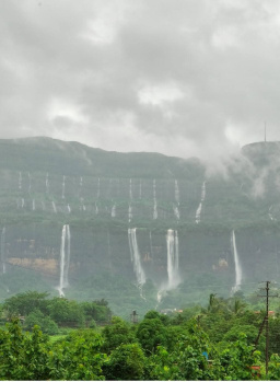 Agricultural/Farm Land for Sale in Saralgaon, Thane (10 Acre)
