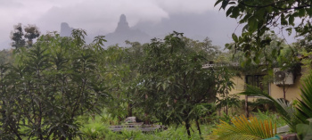 Agricultural/Farm Land for Sale in Murbad, Thane (1 Acre)