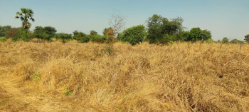 Industrial Land / Plot for Sale in Wada, Thane (66 Guntha)