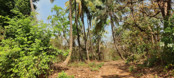 Agricultural/Farm Land for Sale in Murbad, Thane (12.5 Acre)