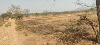 Agricultural/Farm Land for Sale in Wada, Thane (4 Acre)
