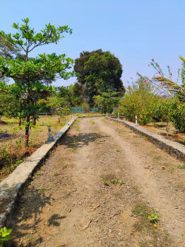 Farm House for Sale in Pali, Raigad (85 Guntha)
