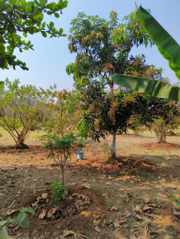 Property for sale in Pali, Raigad
