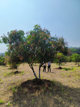 Property for sale in Pali, Raigad