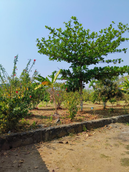 Property for sale in Pali, Raigad