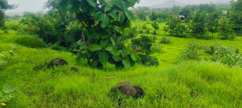Property for sale in Wada, Palghar