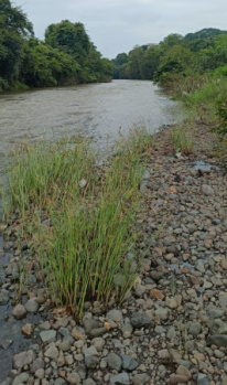 Residential Plot for Sale in Karjat, Raigad (86 Acre)