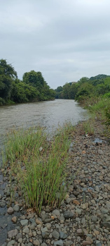 Agricultural/Farm Land for Sale in Karjat, Raigad (86 Acre)