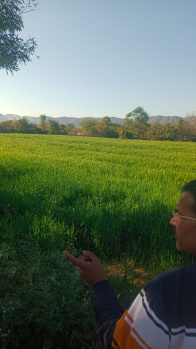 Farm House for Sale in Pushkar, Ajmer (4000 Sq. Yards)