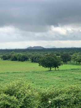 Farm House for Sale in Pushkar, Ajmer (1000 Sq. Yards)