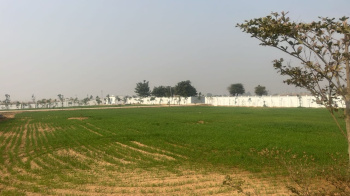 Property for sale in Khatu, Sikar