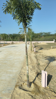 Property for sale in Petshal, Almora
