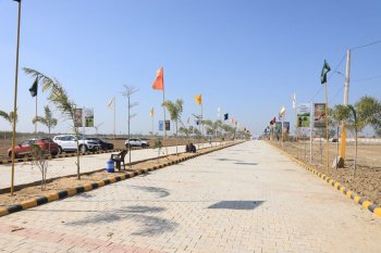 Residential Plot for Sale in Sambhar, Jaipur (100 Sq.ft.)