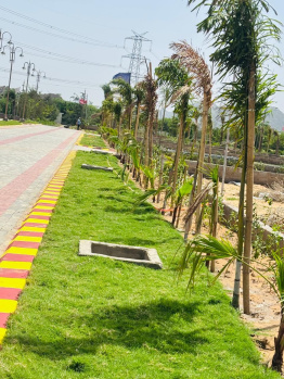 Residential Plot for Sale in Chachiyawas, Ajmer (100 Sq. Yards)