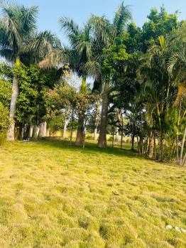 Farm House for Sale in Bichoon, Jaipur (300 Sq. Yards)