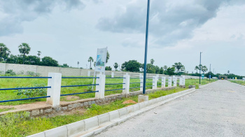 157 Sq. Yards Residential Plot for Sale in Chotuppal, Hyderabad