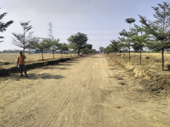 Property for sale in Shankarpally, Rangareddy