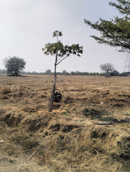 Property for sale in Shankarpally, Rangareddy