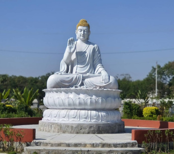 Residential Plot for Sale in Rudraram, Hyderabad (187.5 Sq. Yards)