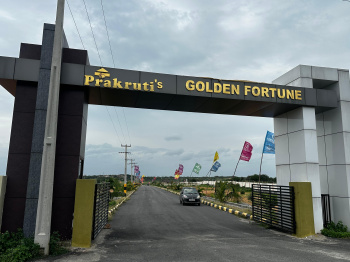Residential Plot for Sale in Shadnagar, Hyderabad (250 Sq. Yards)