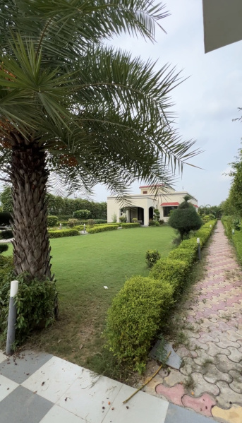 4 BHK Farm House For Sale In Haryana (4000 Sq.ft.)