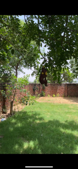 Residential Plot for Sale in Pataudi, Gurgaon (198 Sq. Yards)