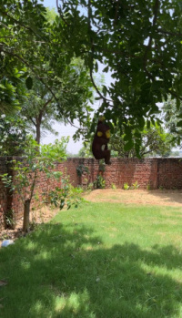 Agricultural Land For Sale In Sidhrawali