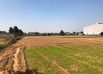 Agricultural Land For Sale In Bhatsana Dharuhera