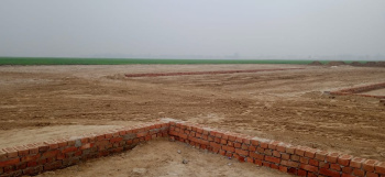 800 Sq.ft. Residential Plot for Sale in Jangal Kauria, Gorakhpur