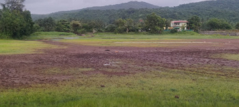 132 Guntha Agricultural/Farm Land for Sale in Murud, Raigad