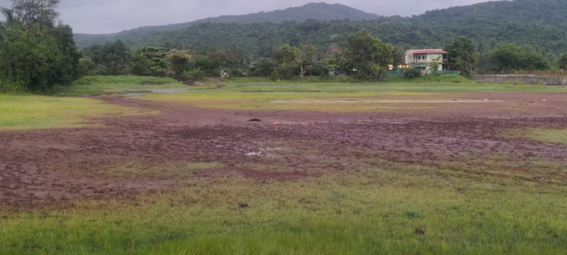 132 Guntha Agricultural/Farm Land For Sale In Murud, Raigad