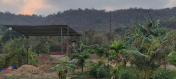 Agricultural/Farm Land for Sale in Murud, Raigad (55 Guntha)