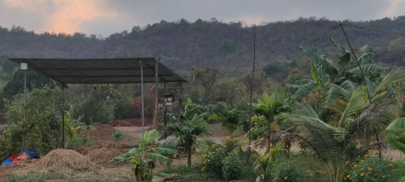 Agricultural/Farm Land For Sale In Murud, Raigad (55 Guntha)