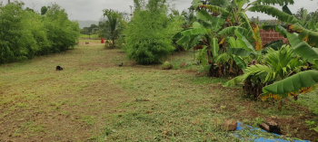 Property for sale in Zirad, Raigad