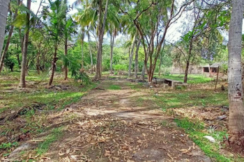 Property for sale in Kihim, Raigad