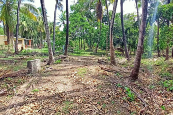 Property for sale in Kihim, Raigad