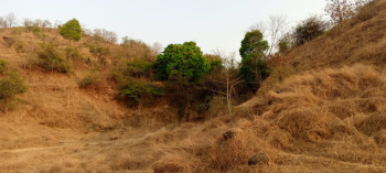 Property for sale in Mahad, Raigad