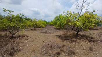 Residential Plot for Sale in Mahad, Raigad (26 Guntha)