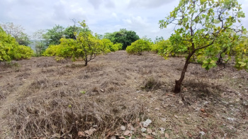 Property for sale in Mahad, Raigad