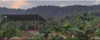 Agricultural/Farm Land for Sale in Murud, Raigad (55 Sq.ft.)