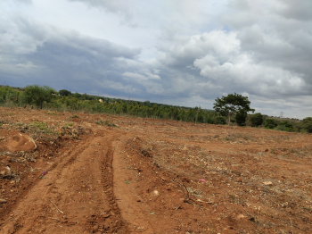 92 Cent Agricultural/Farm Land for Sale in Thalli, Krishnagiri