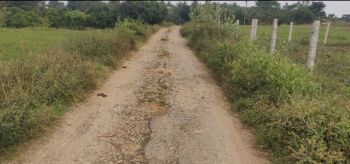 35 Cent Agricultural/Farm Land for Sale in Thalli, Hosur